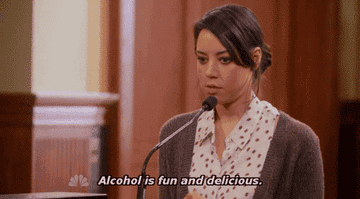 &quot;Alcohol is fun and delicious.&quot;