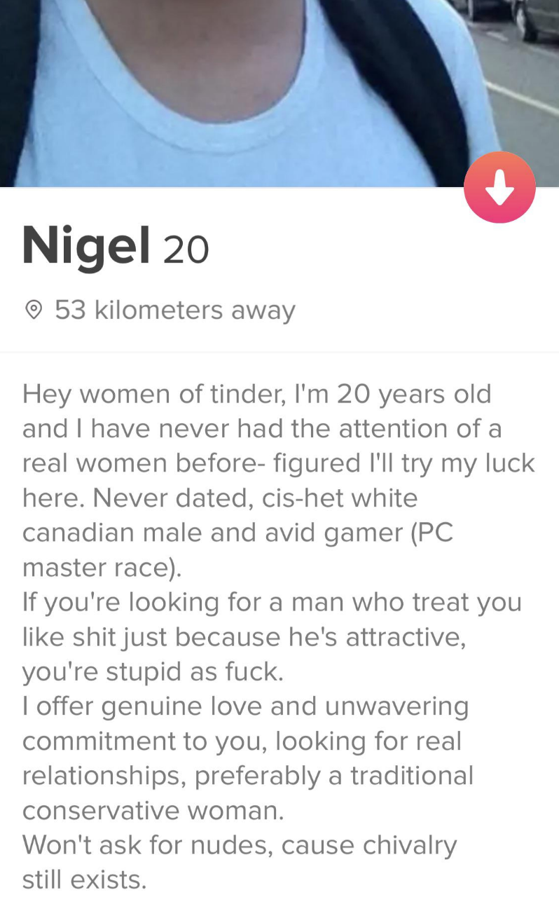 I&#x27;m 20 and have never had the attention of a real women before, never dated, cishet white male and avid gamer; if you&#x27;re looking for man who treat u like shit, you&#x27;re stupid as fuck; I offer genuine love, won&#x27;t ask for nudes &#x27;cause chivalry still exists