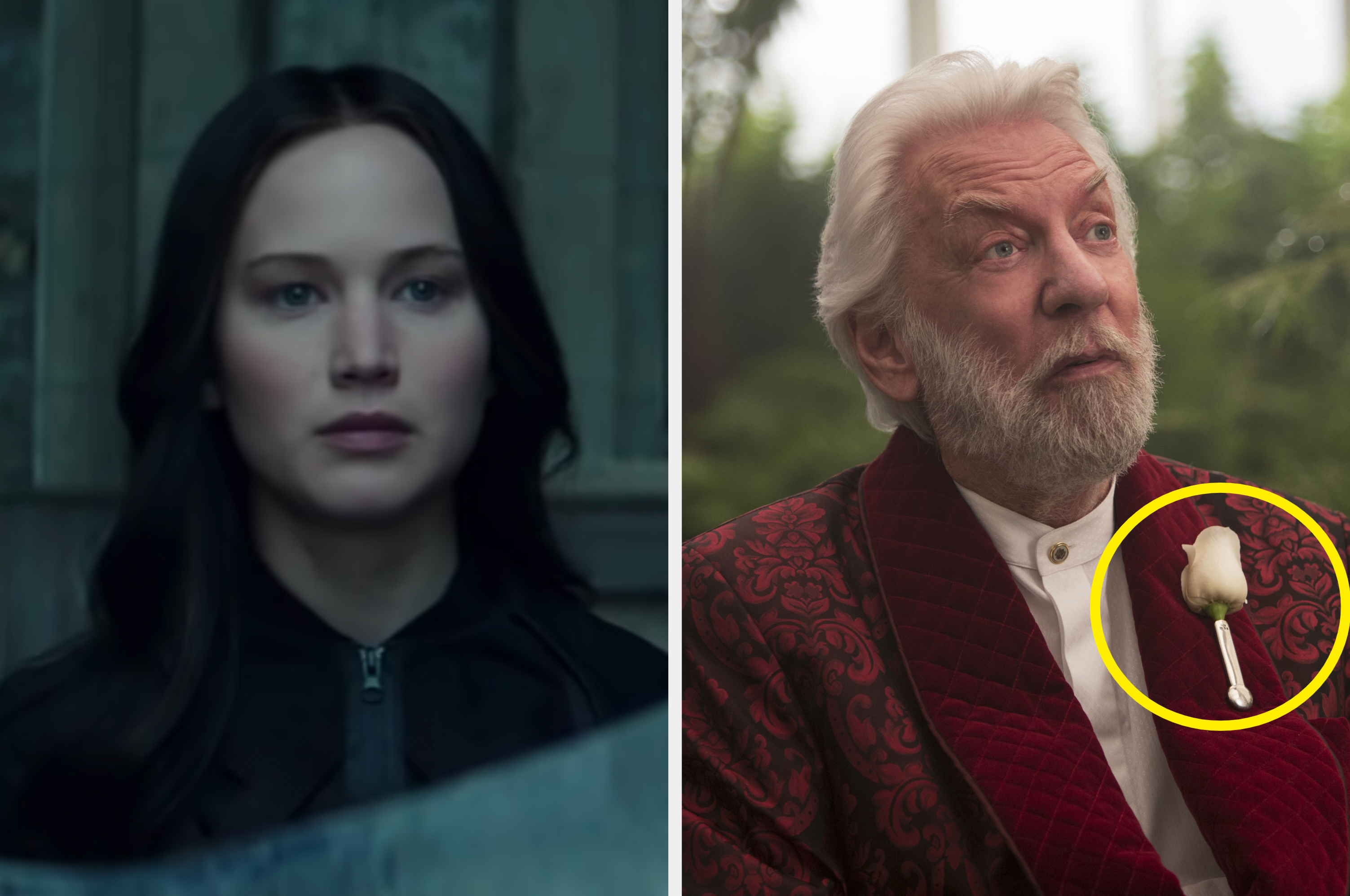 If You Can Pass This "Mockingjay" Quiz, I'll Be Extremely Impressed ...