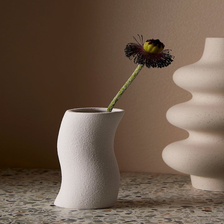 A single flower in the vase