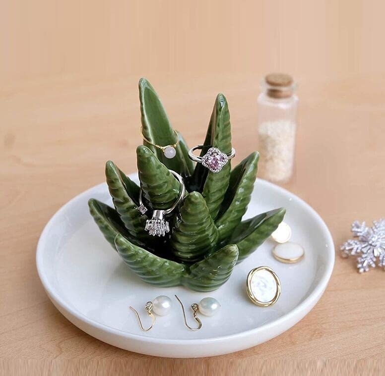 an aloe plant shaped ring holder with a catch all base