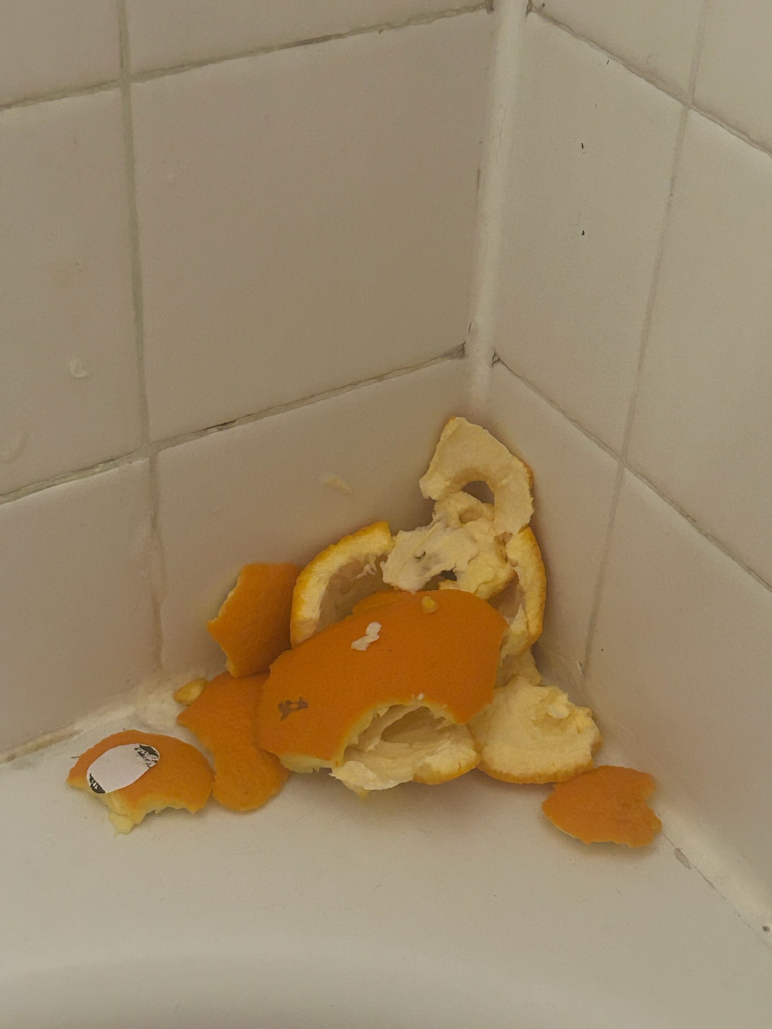 The orange peels in the corner