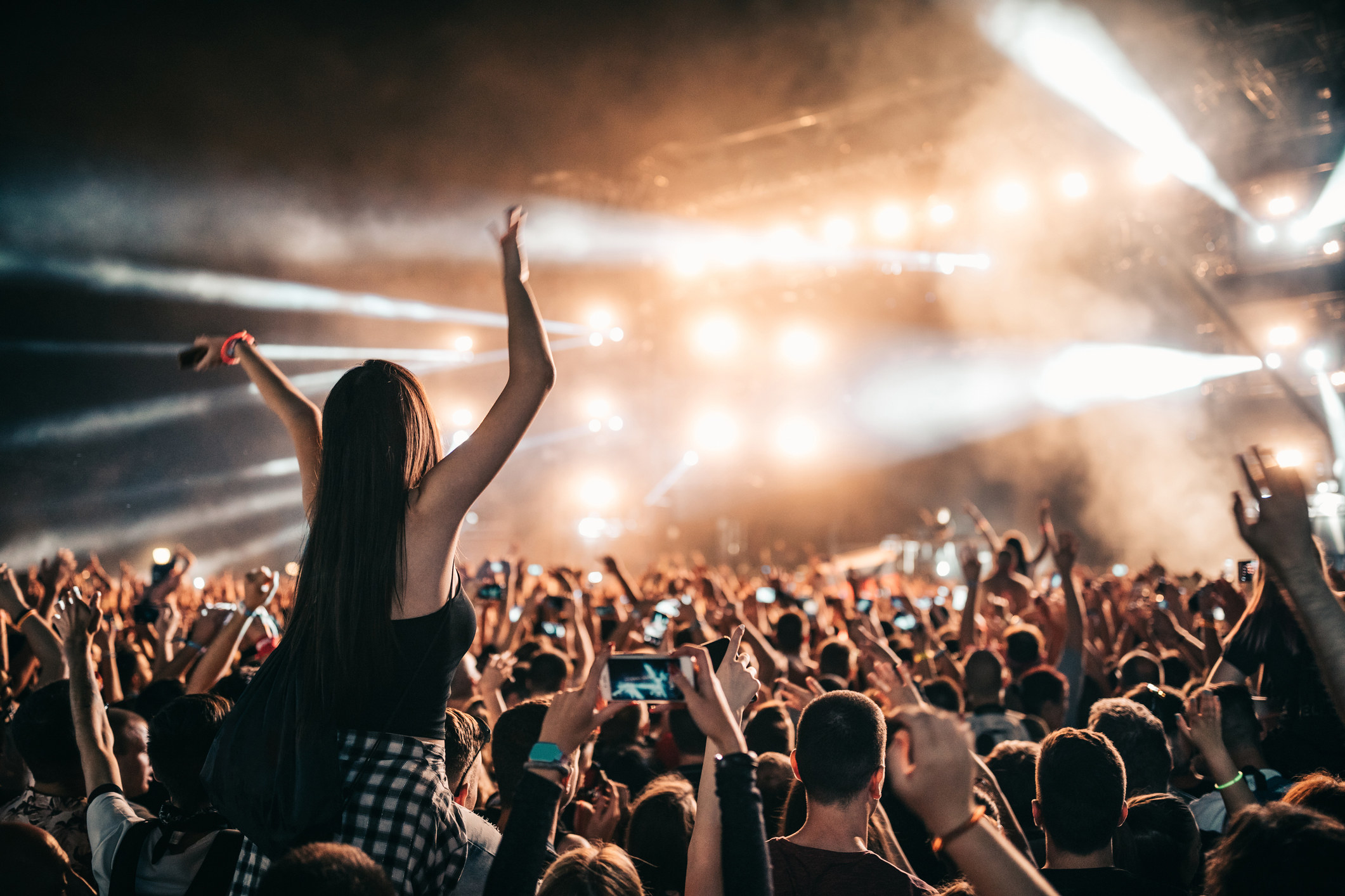 the crowd at a concert