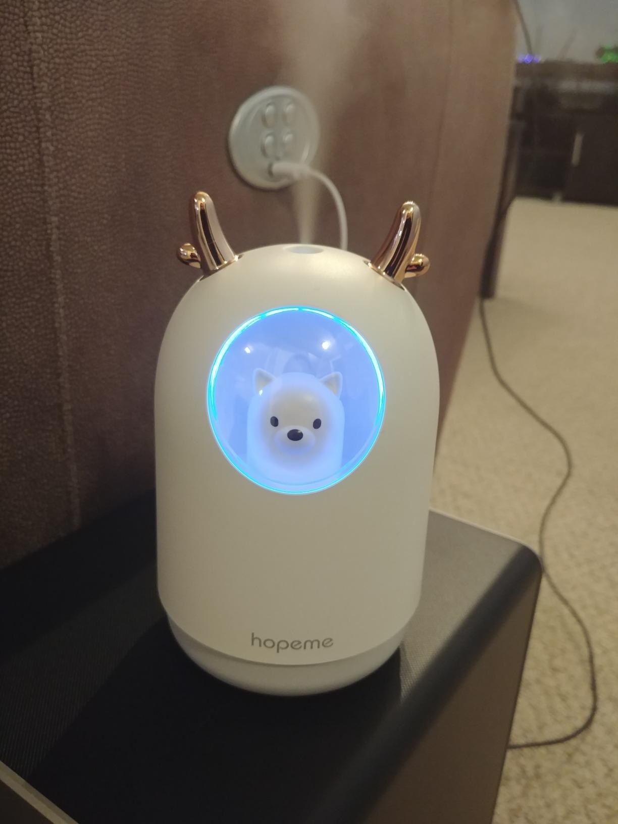 A reviewer&#x27;s white humidifier with the little polar bear inside a window
