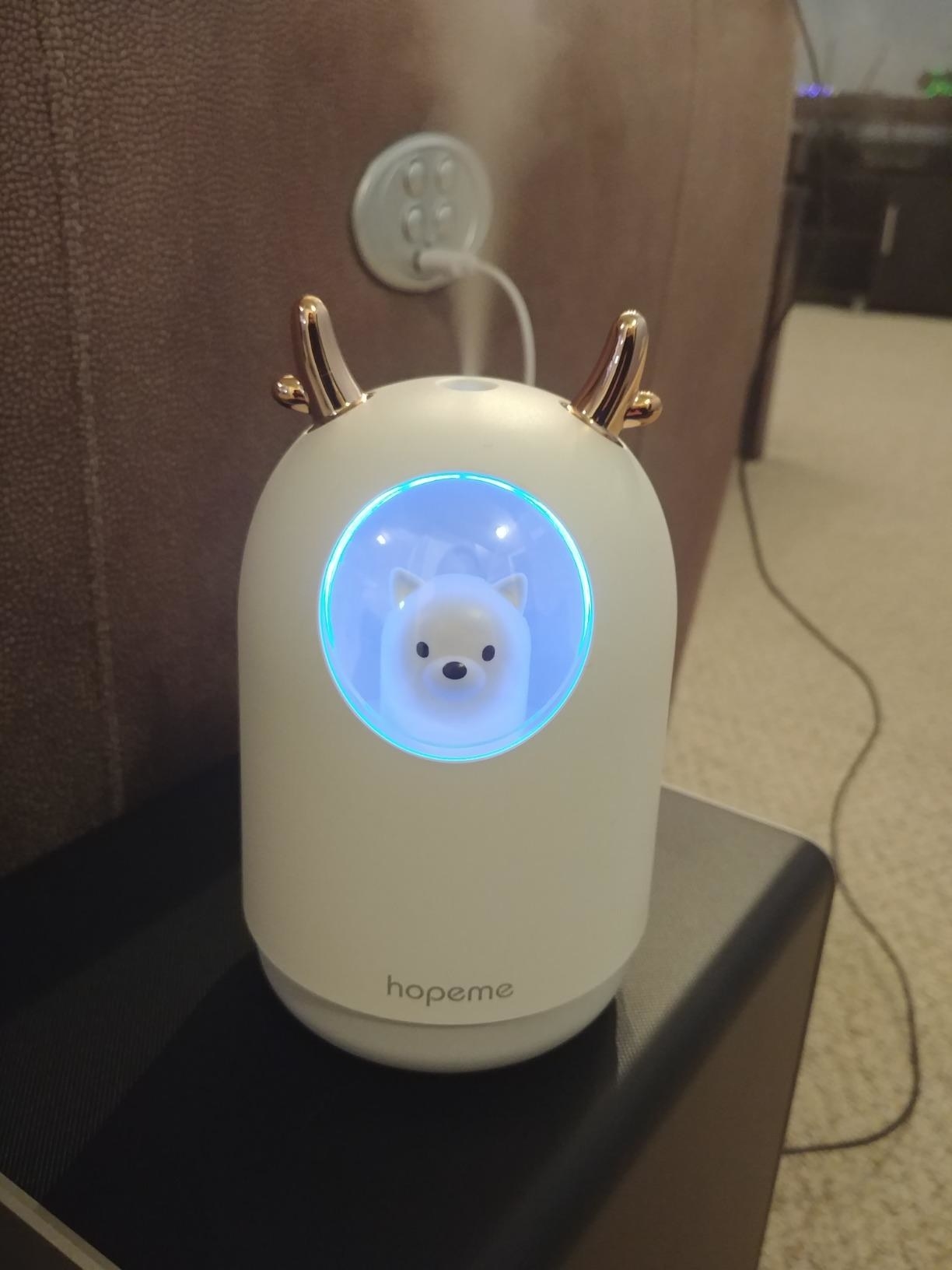A reviewer's white humidifier with the little polar bear inside a window