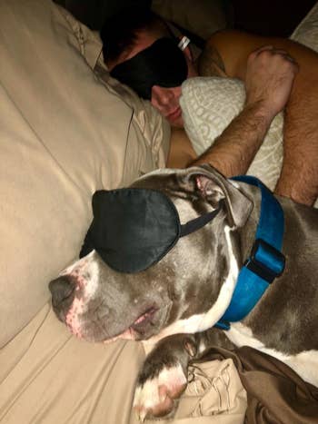 A reviewer and their dog each wearing the eye mask while they sleep