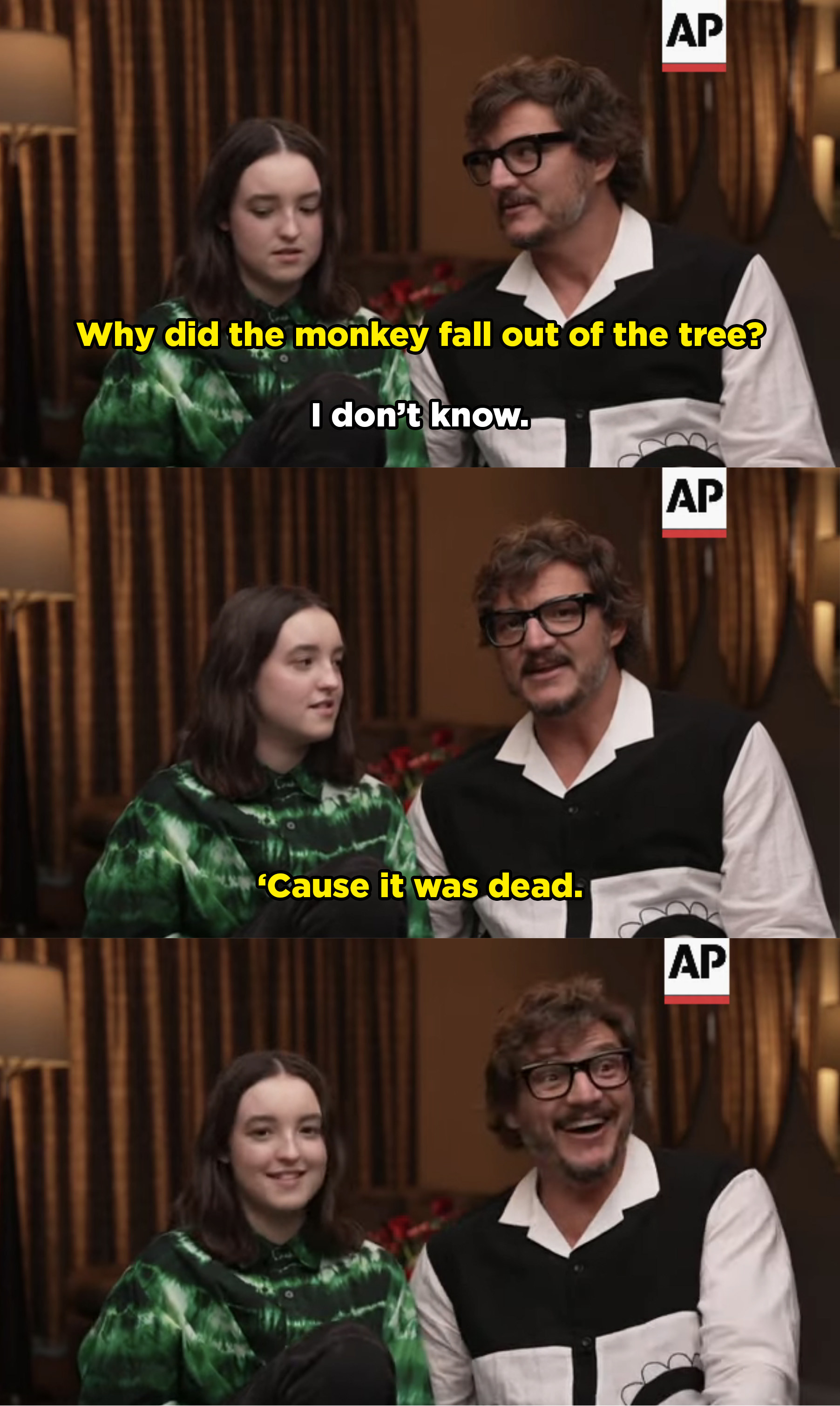 why did the monkey fall out of the tree? &#x27;cause it was dead