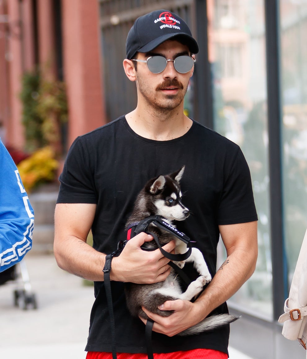 Wild Celebrity Riders Revealed After Graham Norton’s Anecdote