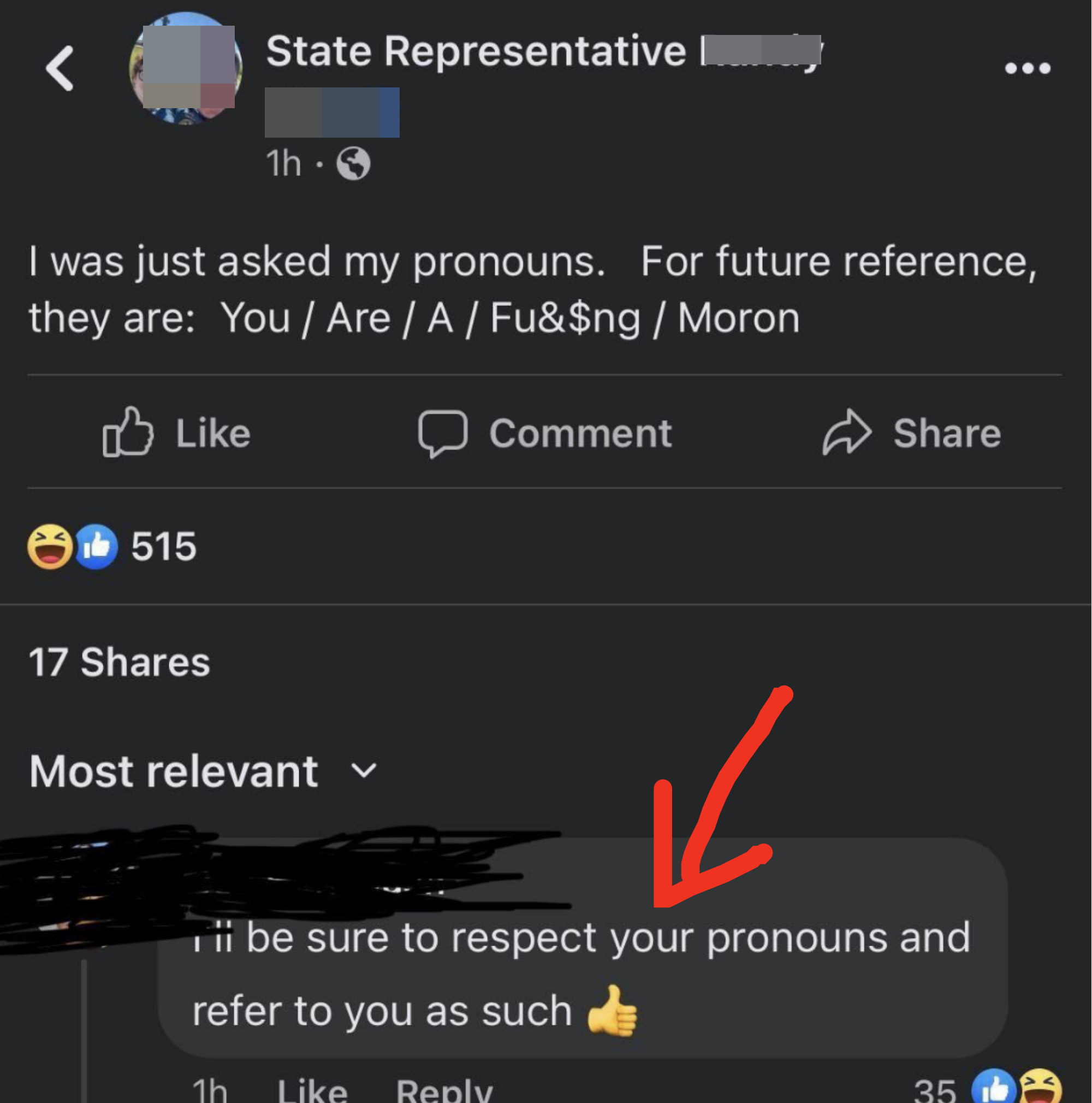 Best Comebacks To Dumb Comments About Pronouns - 39