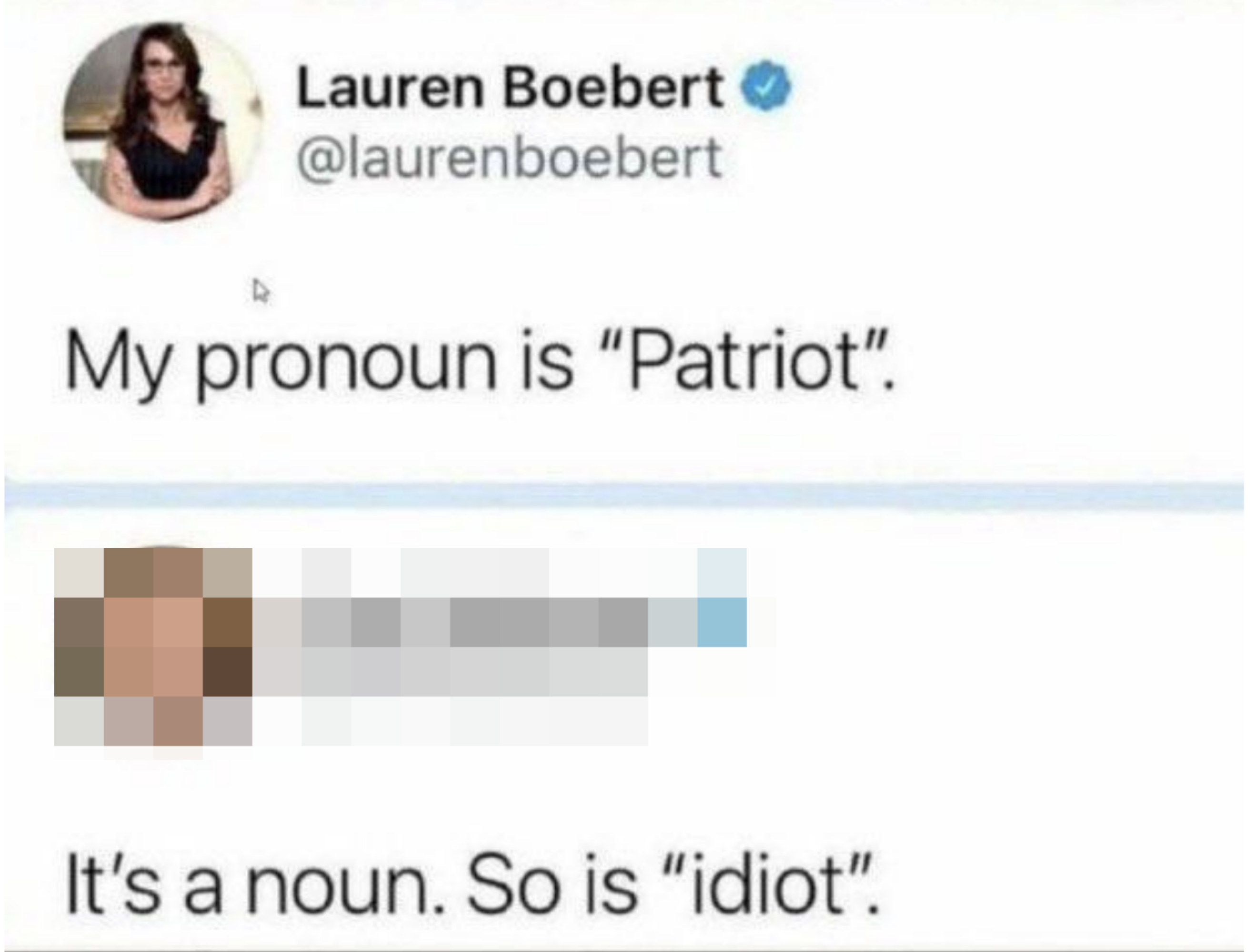 &quot;It&#x27;s a noun. So is &#x27;idiot.&#x27;&quot;