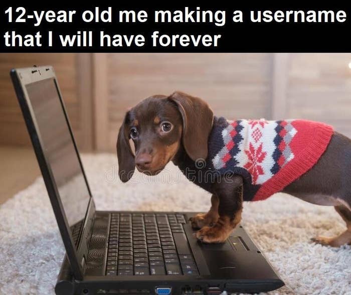 a dog standing on a computer keyboard with text that says "12-year old me making a username that I will have forever"