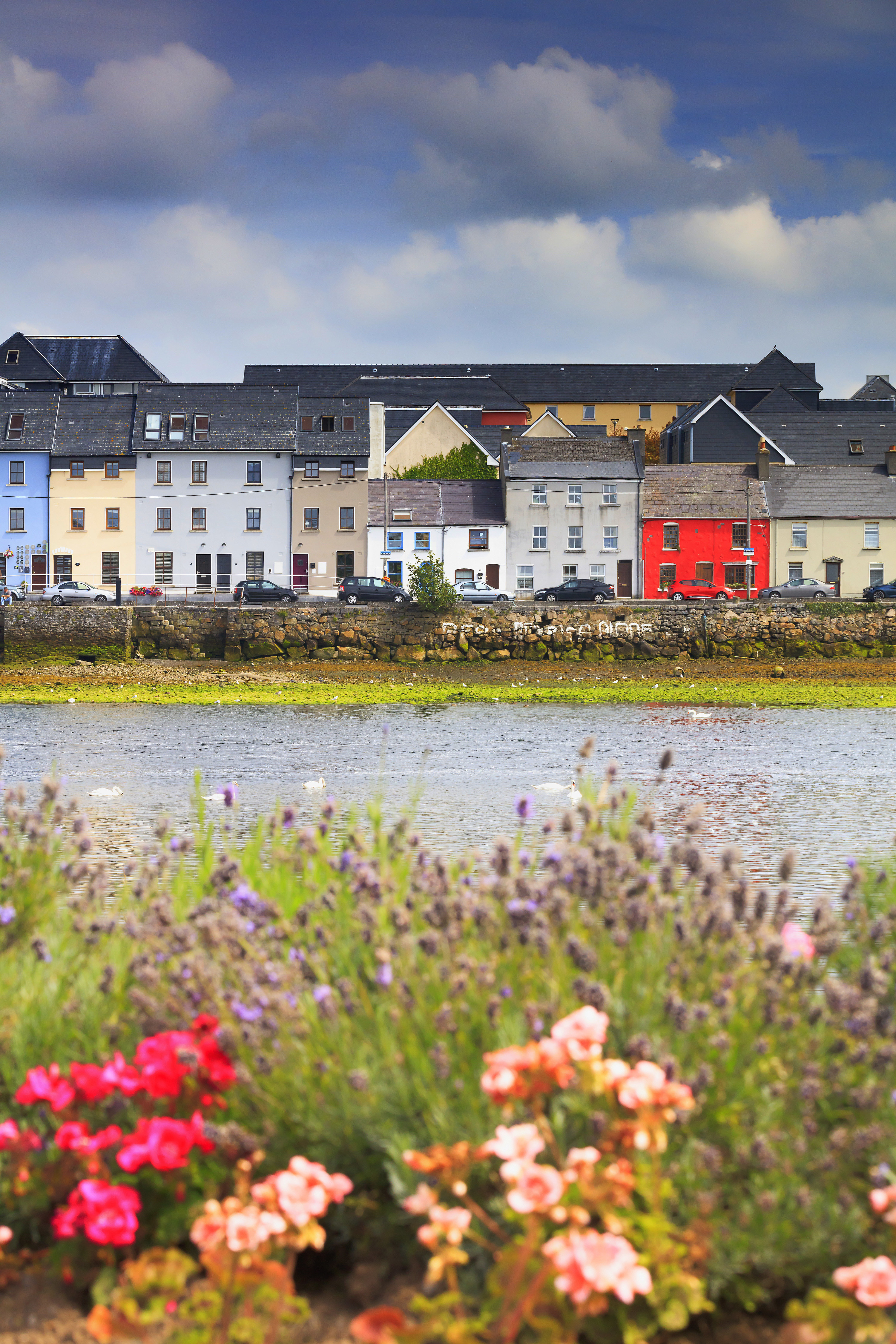 houses in Galway