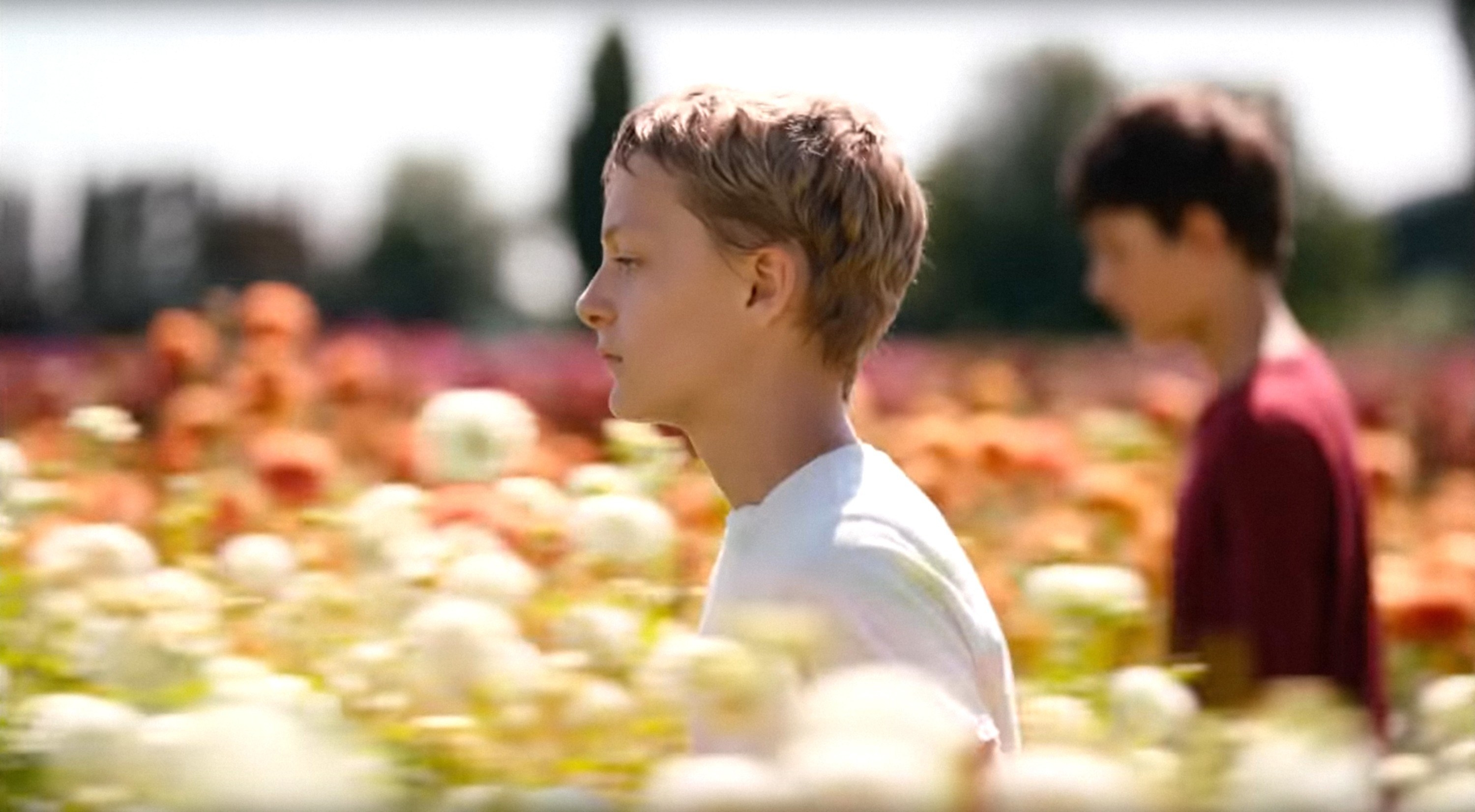 Eden Dambrine and Gustav De Waele walk through a field of flowers