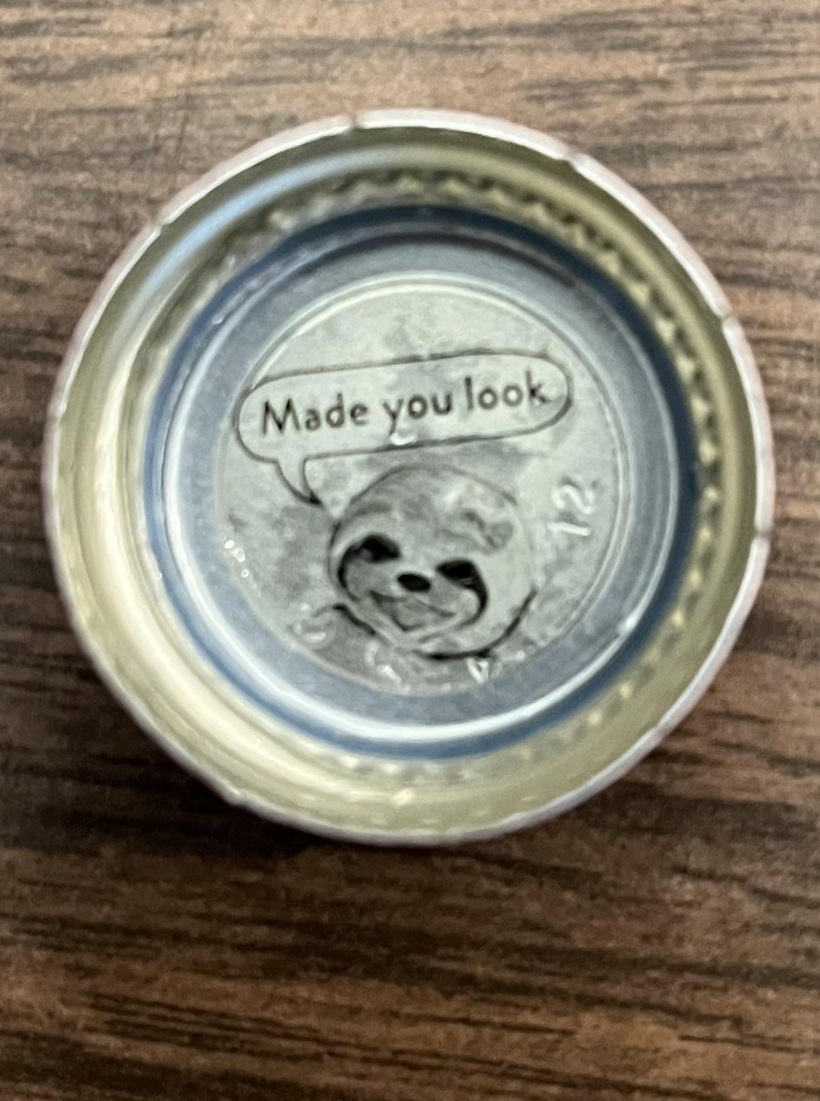 Sloth drawn on inside of bottle cap