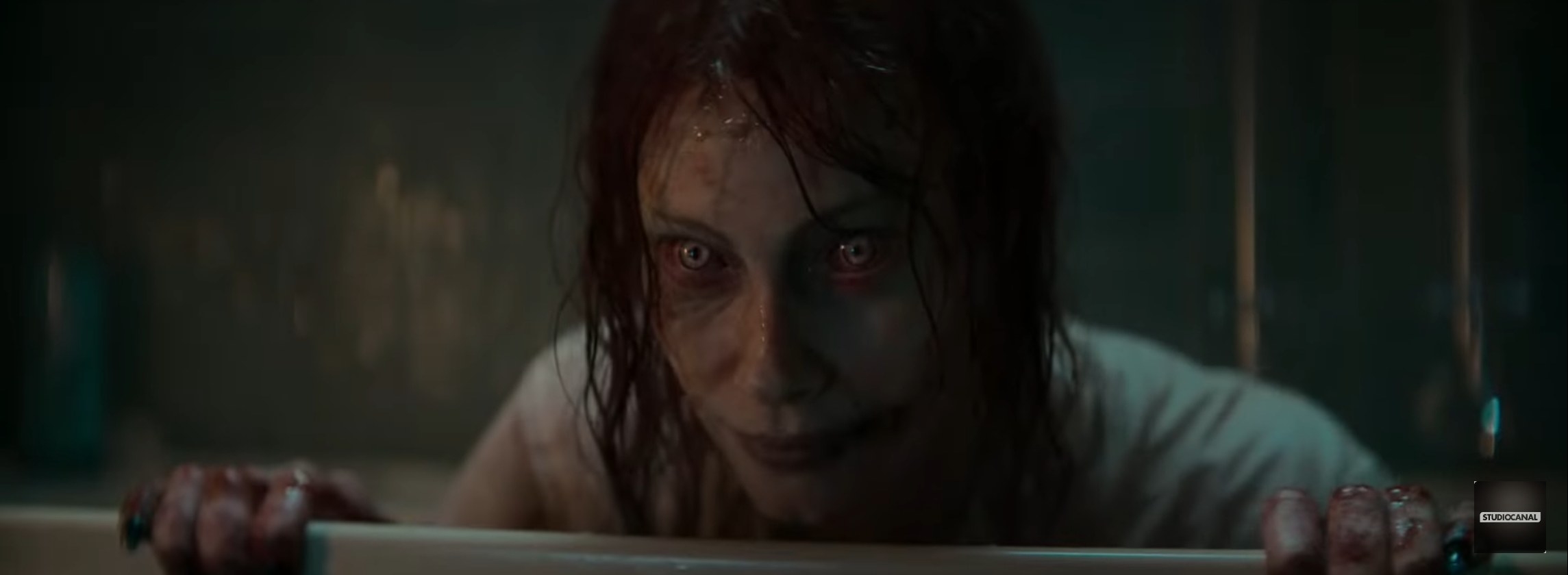 A ghoulish looking woman stares eerily in a bathtub
