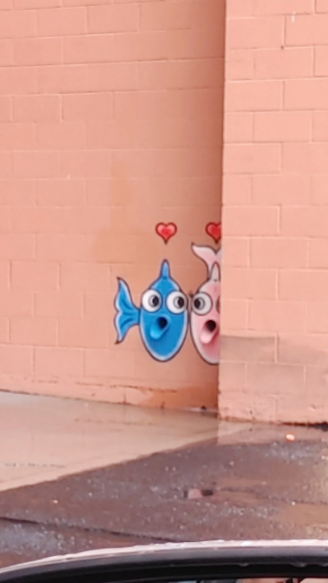 Fish drawn over storm drains