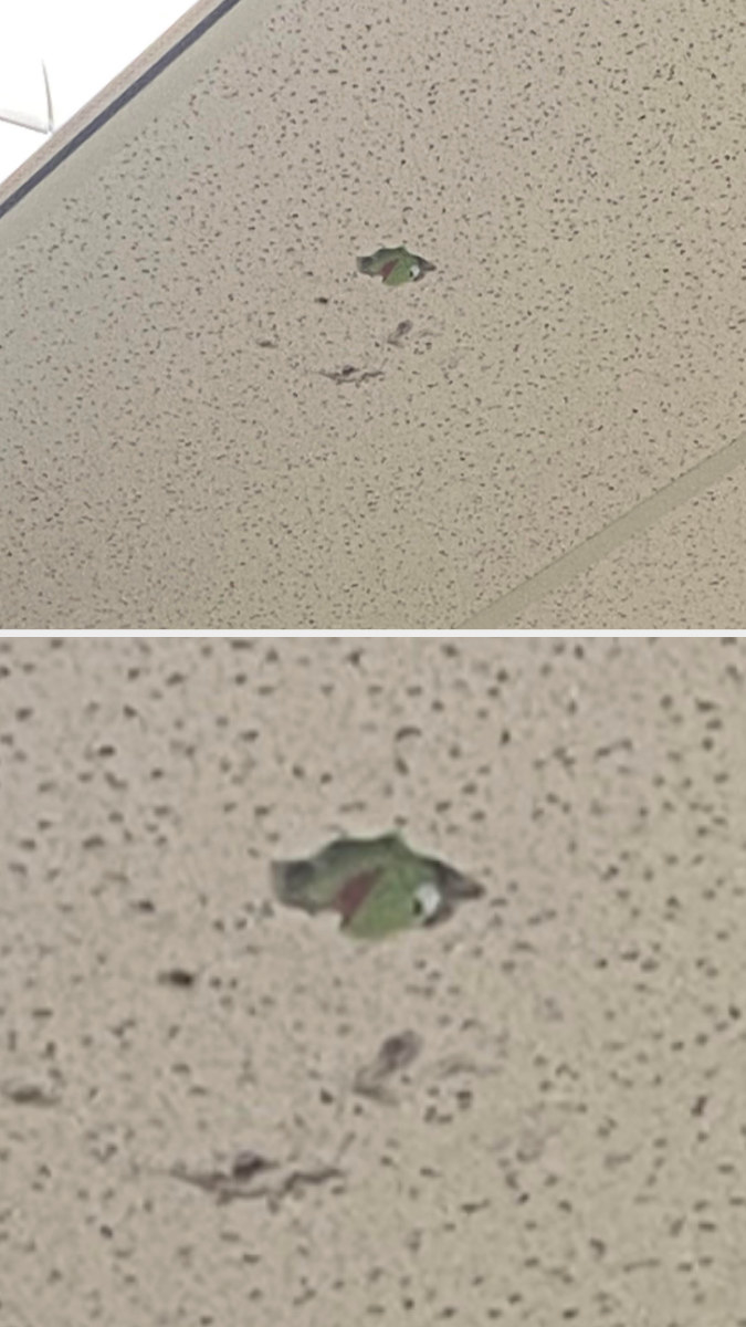 Kermit the Frog hidden in the ceiling
