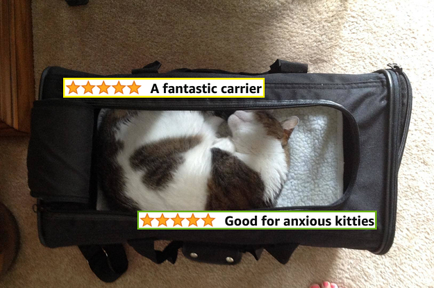 top down view of a reviewer's cat lying in a pet carrier and two 5-star reviews titled "a fantastic carrier" and "good for anxious kitties"