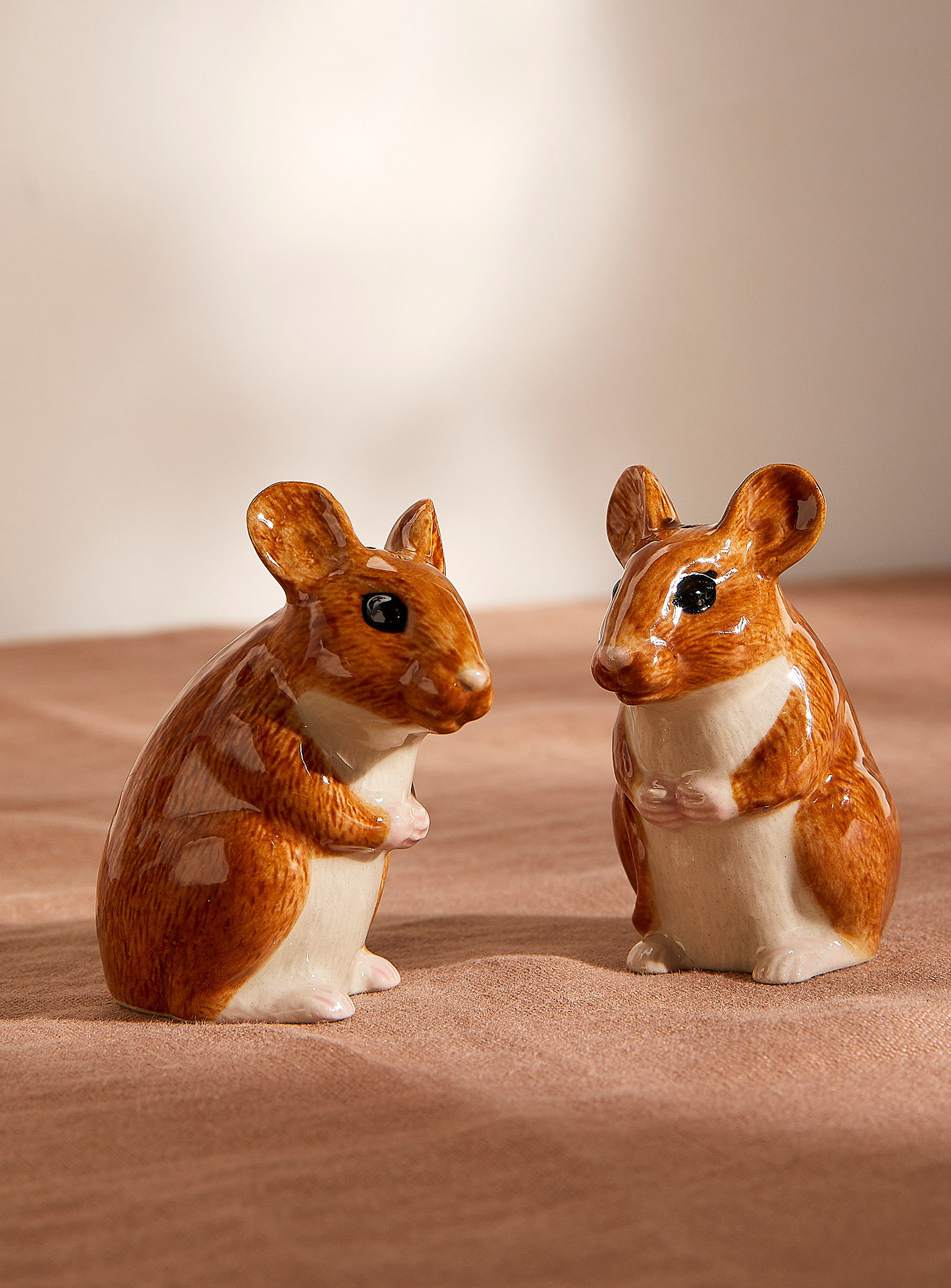 The two mice shakers on a table
