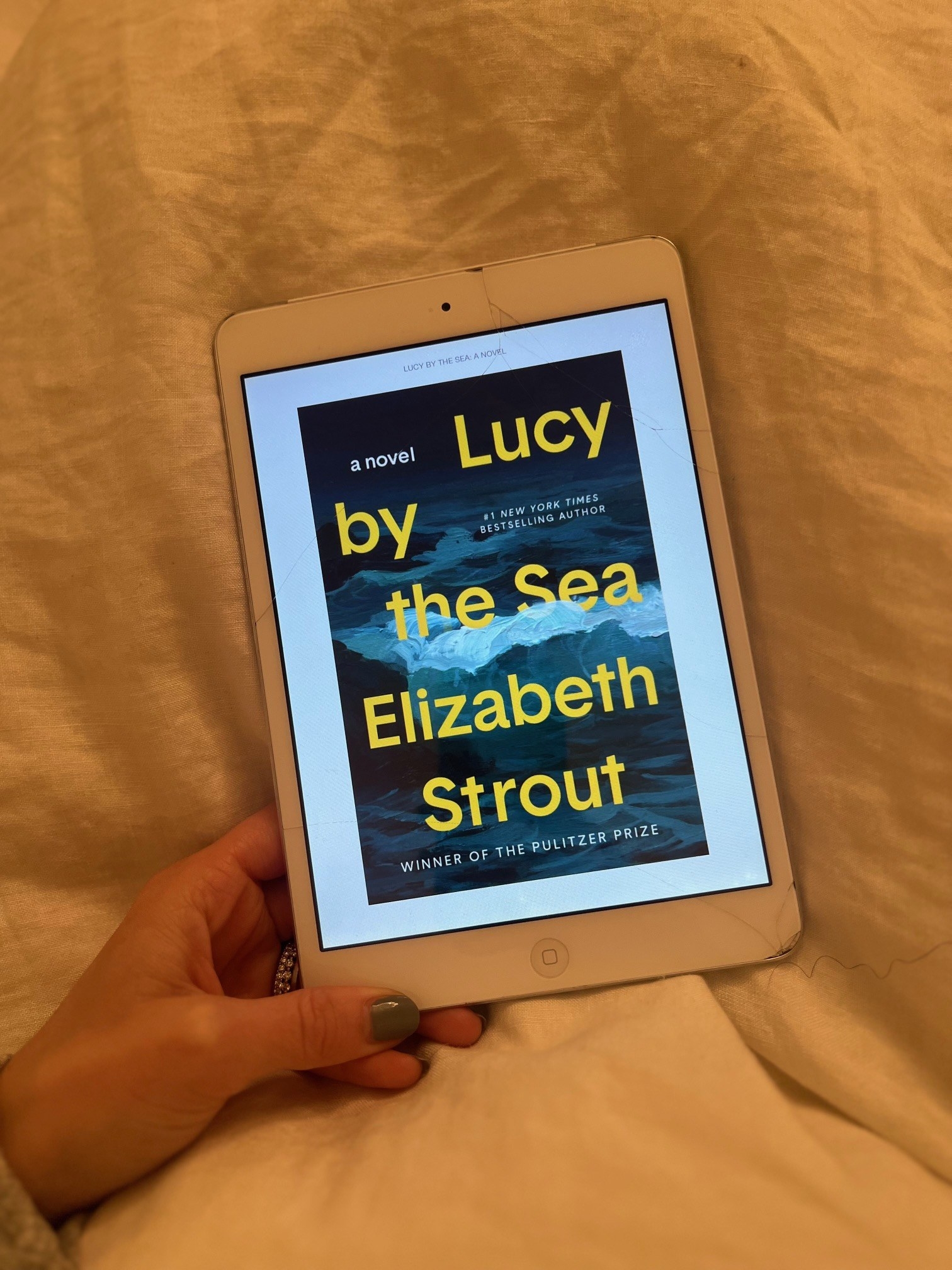 &quot;Lucy By The Sea&quot; by Elizabeth Strout