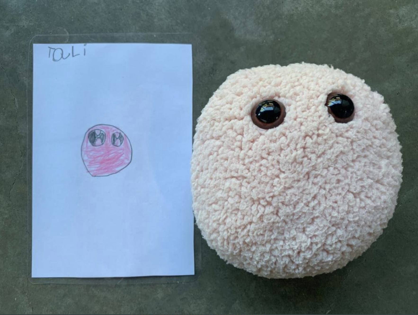 Teacher Turns Students Drawings Into Viral Stuffed Animals - 23