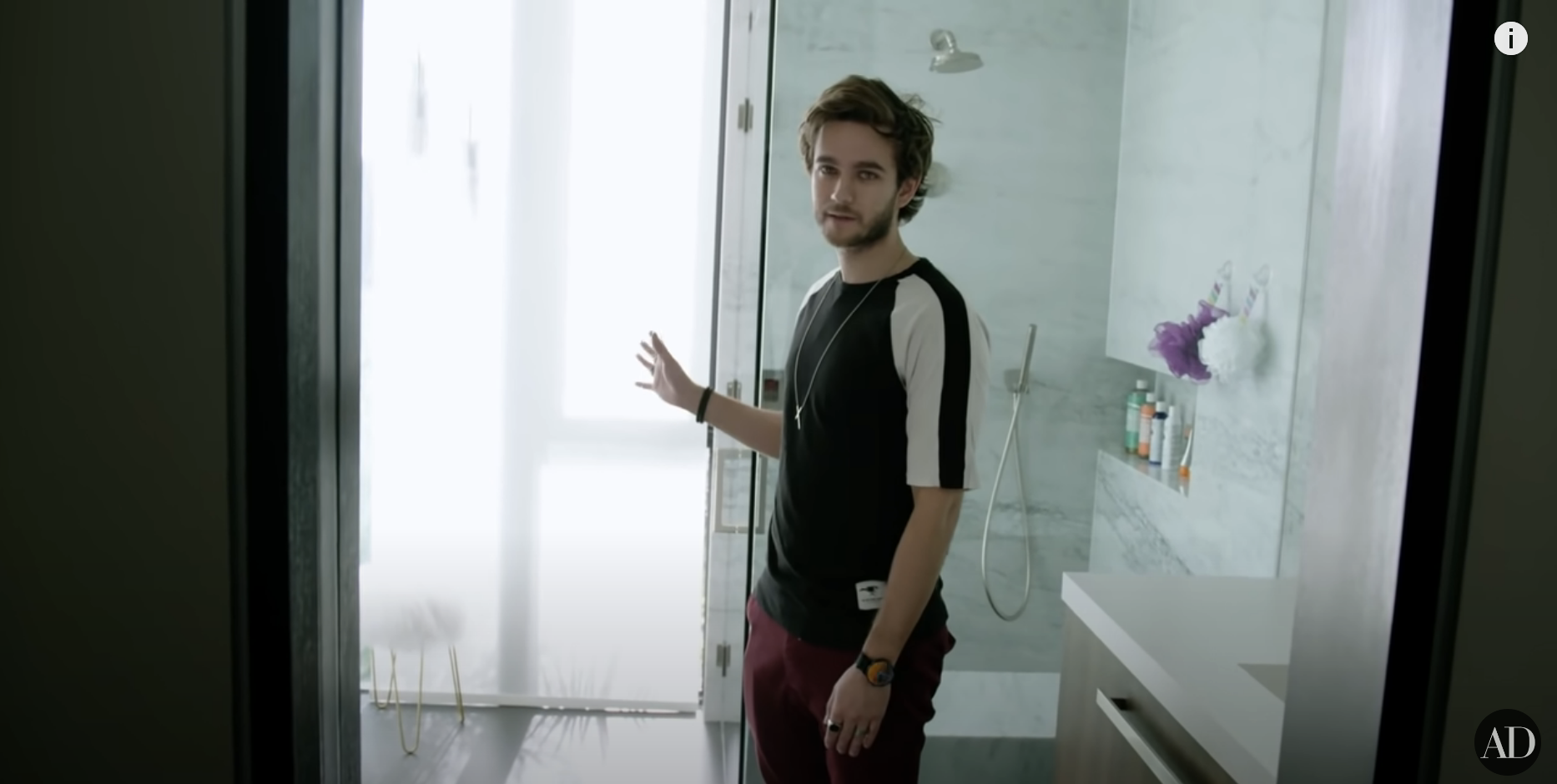 Zedd in his brother&#x27;s bathroom
