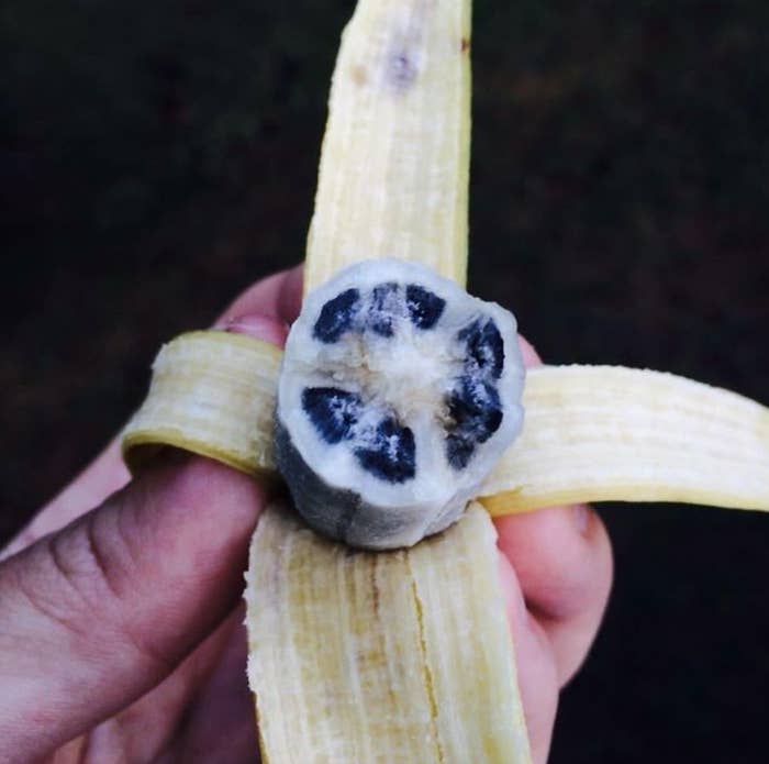 Banana seeds