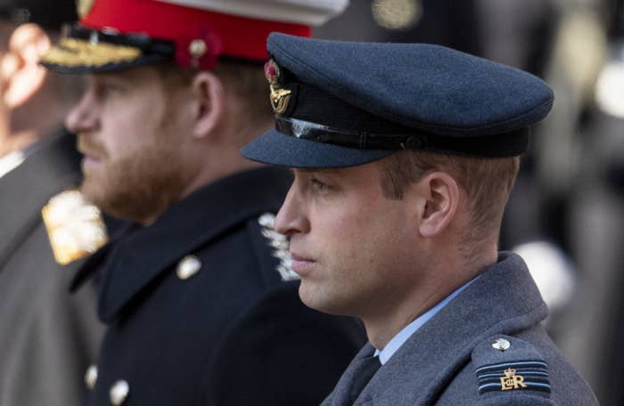 Profile view of Harry and William