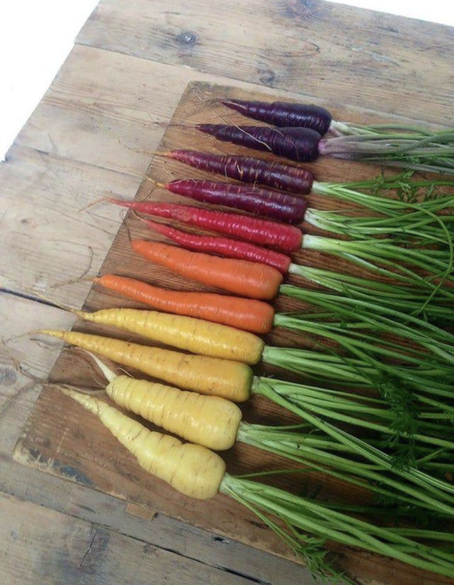 Different-colored carrots