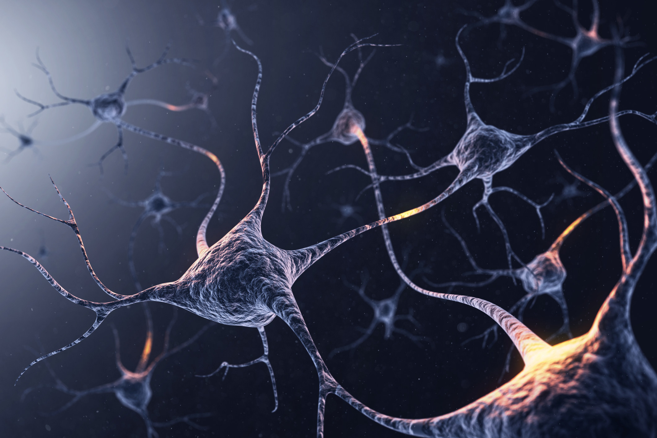 14 Interesting Facts About Brains - 9