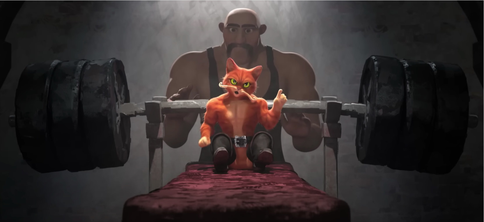 Puss sitting on a weight bench