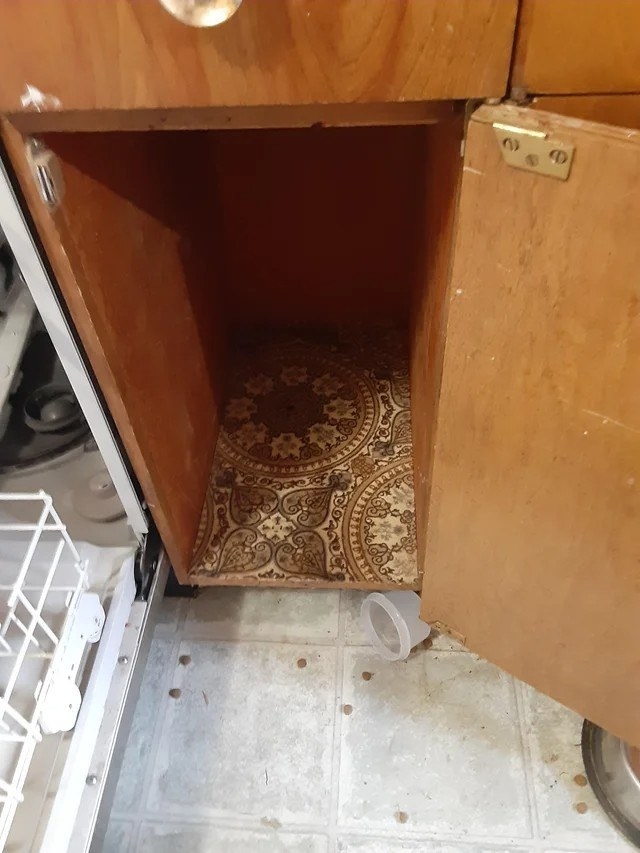 a kitchen cabinet with carpet inside