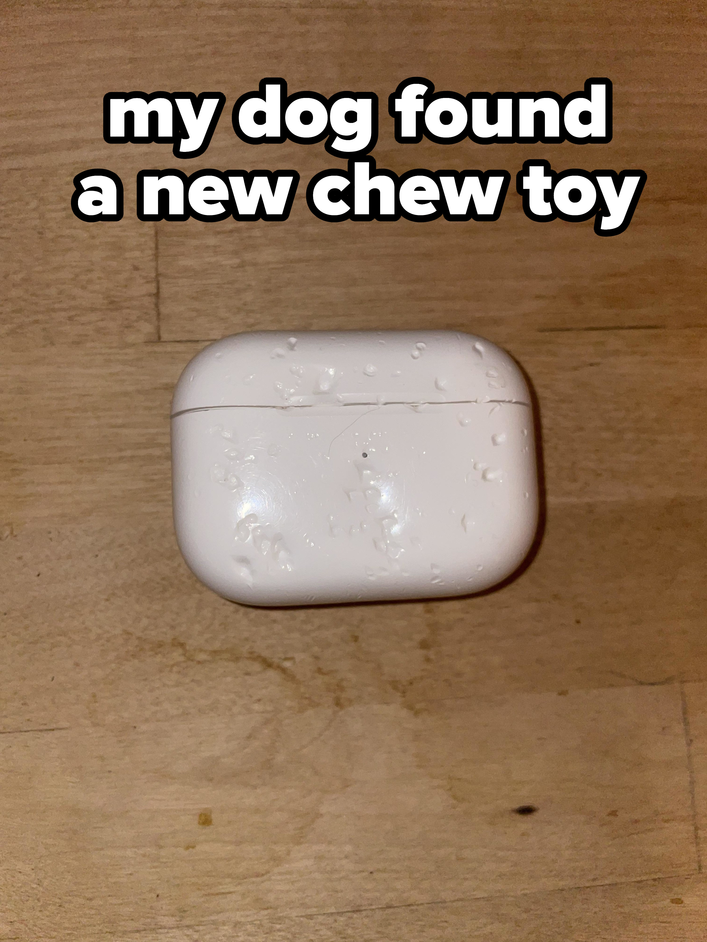 A chewed-up AirPod case