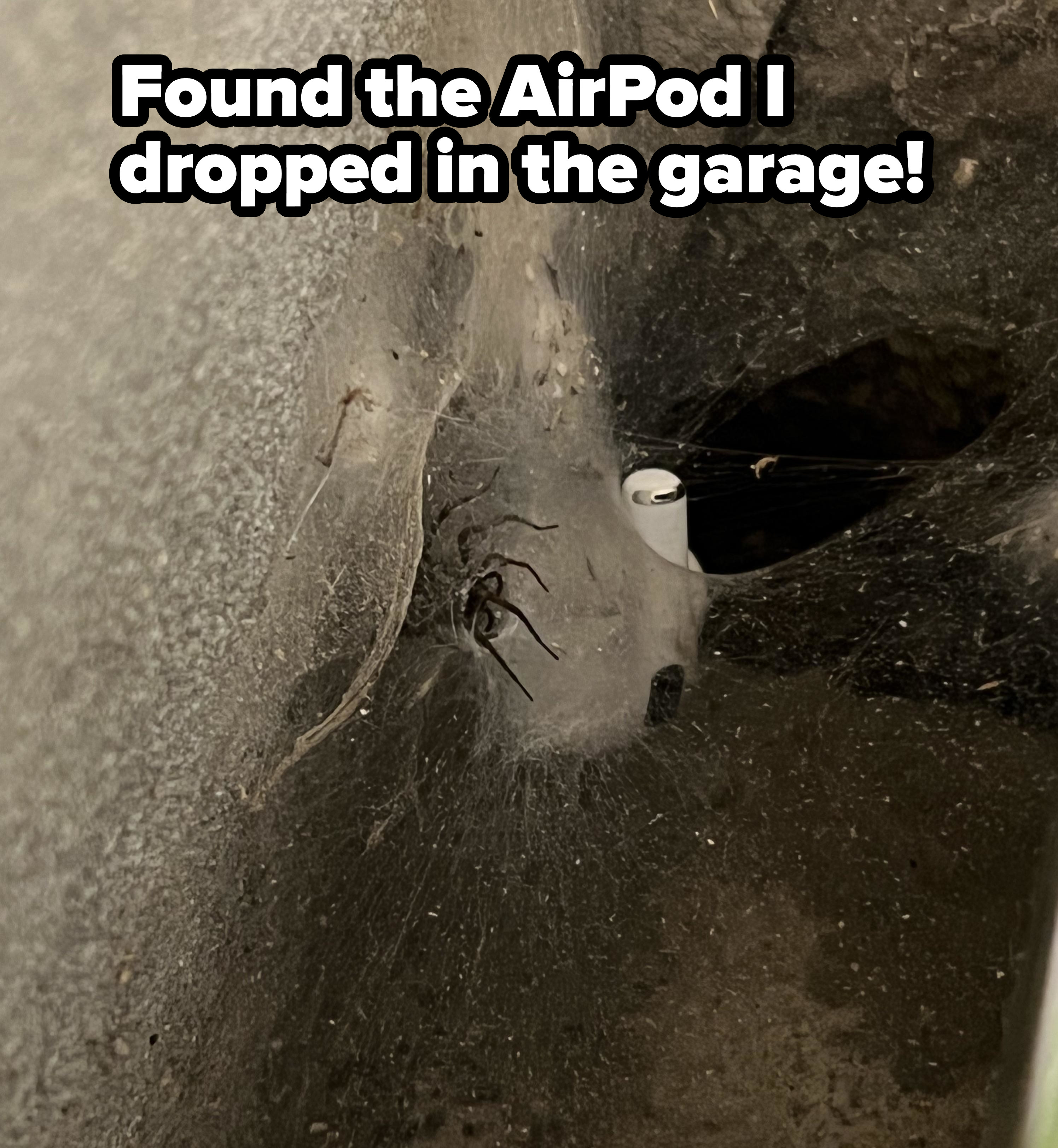 An AirPod in a spider&#x27;s web in a garage