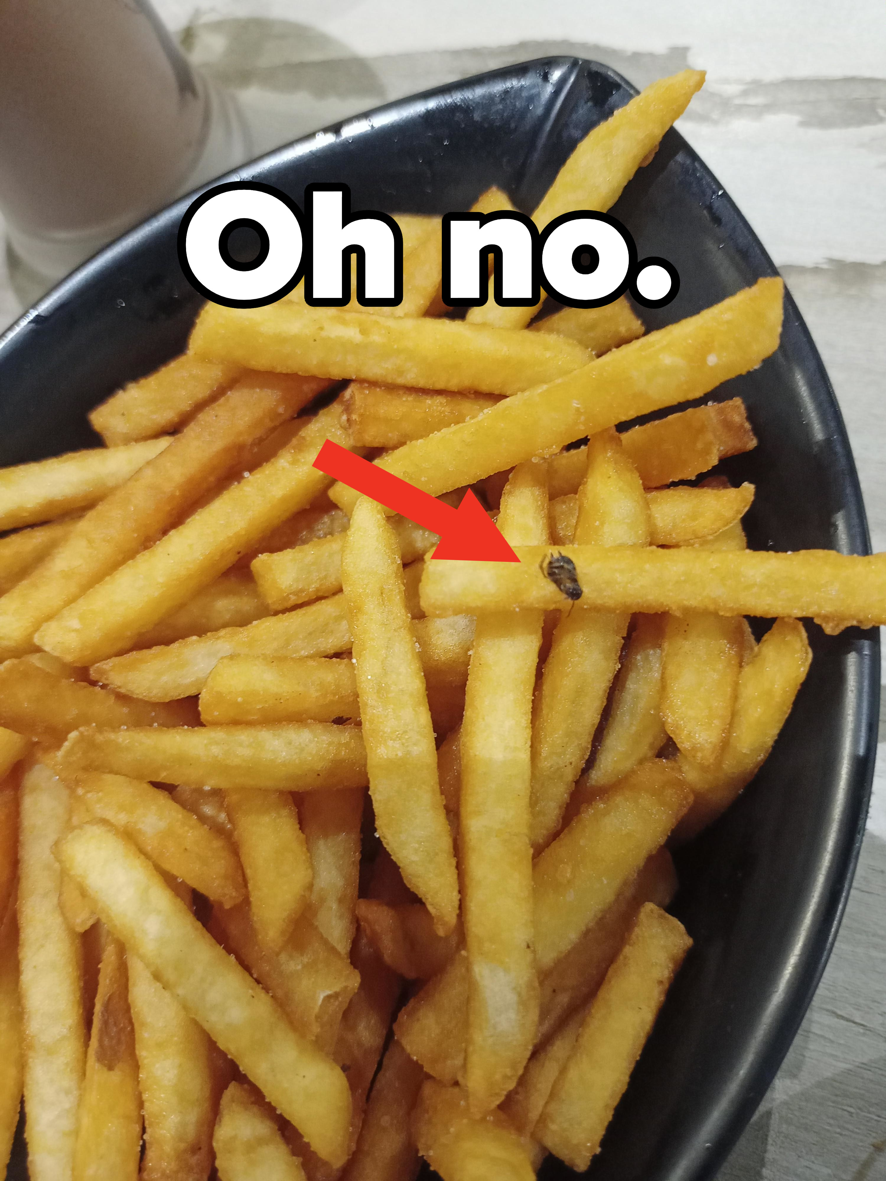 Fries in a container with a small insect on one