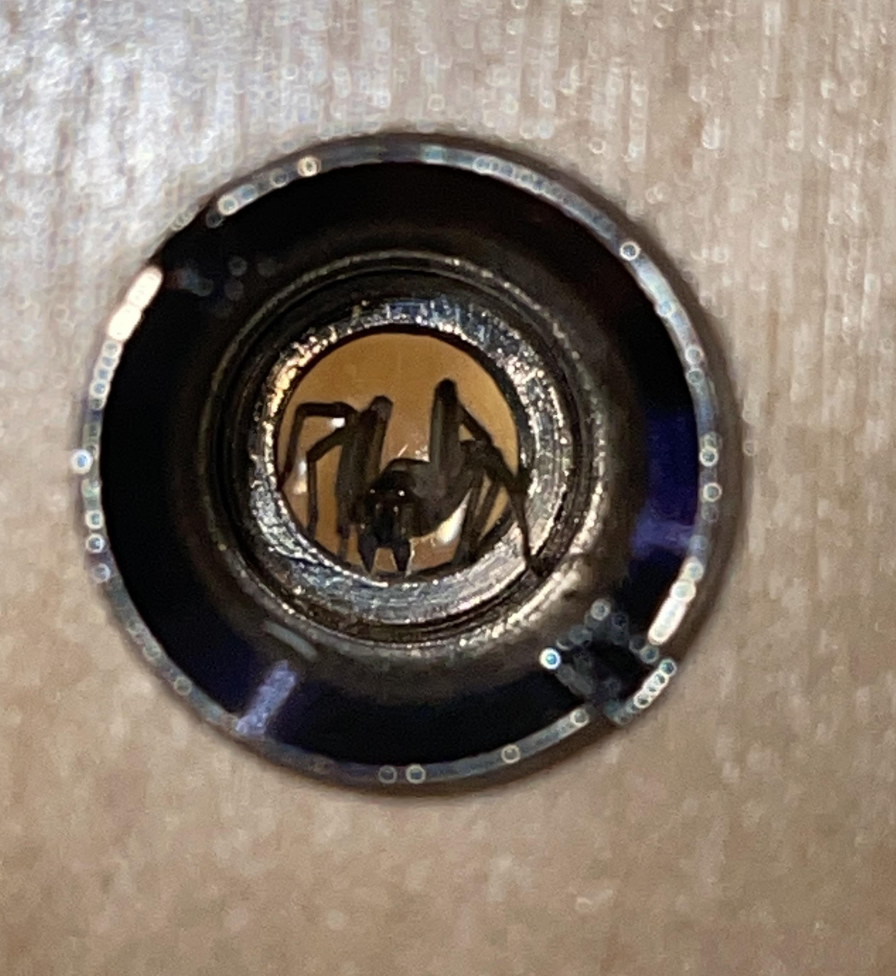 spider in the peephole