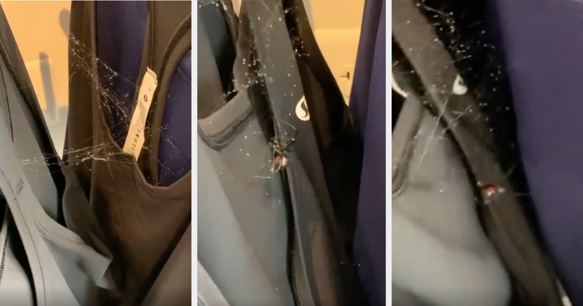 spider with its web on a lululemon rack