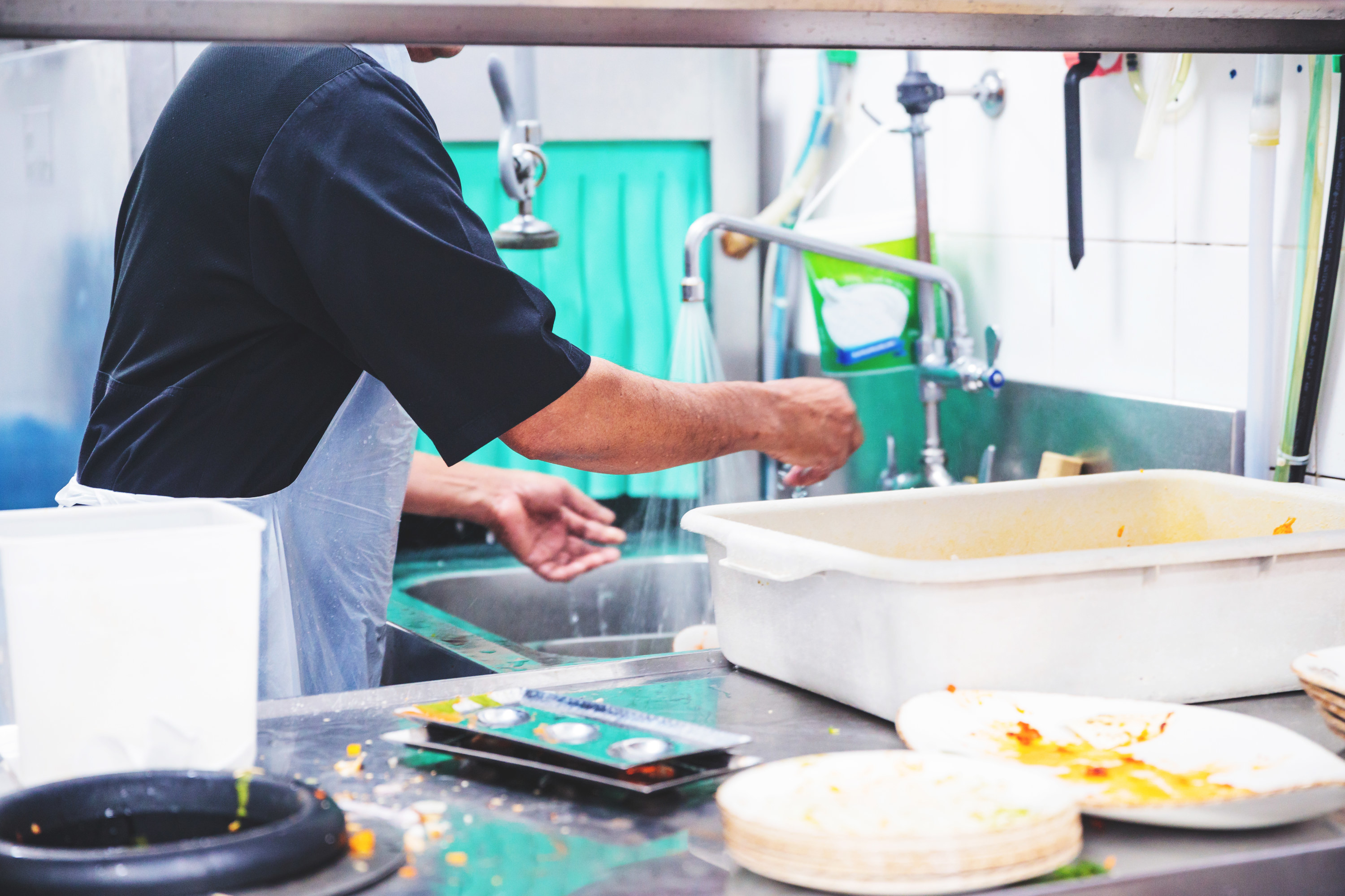 dishwashing staff working in a sink