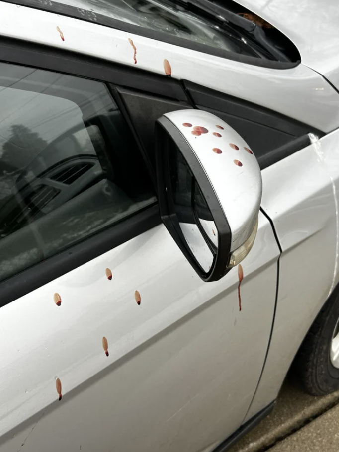 Blood splatter on a white car, including side-view mirror
