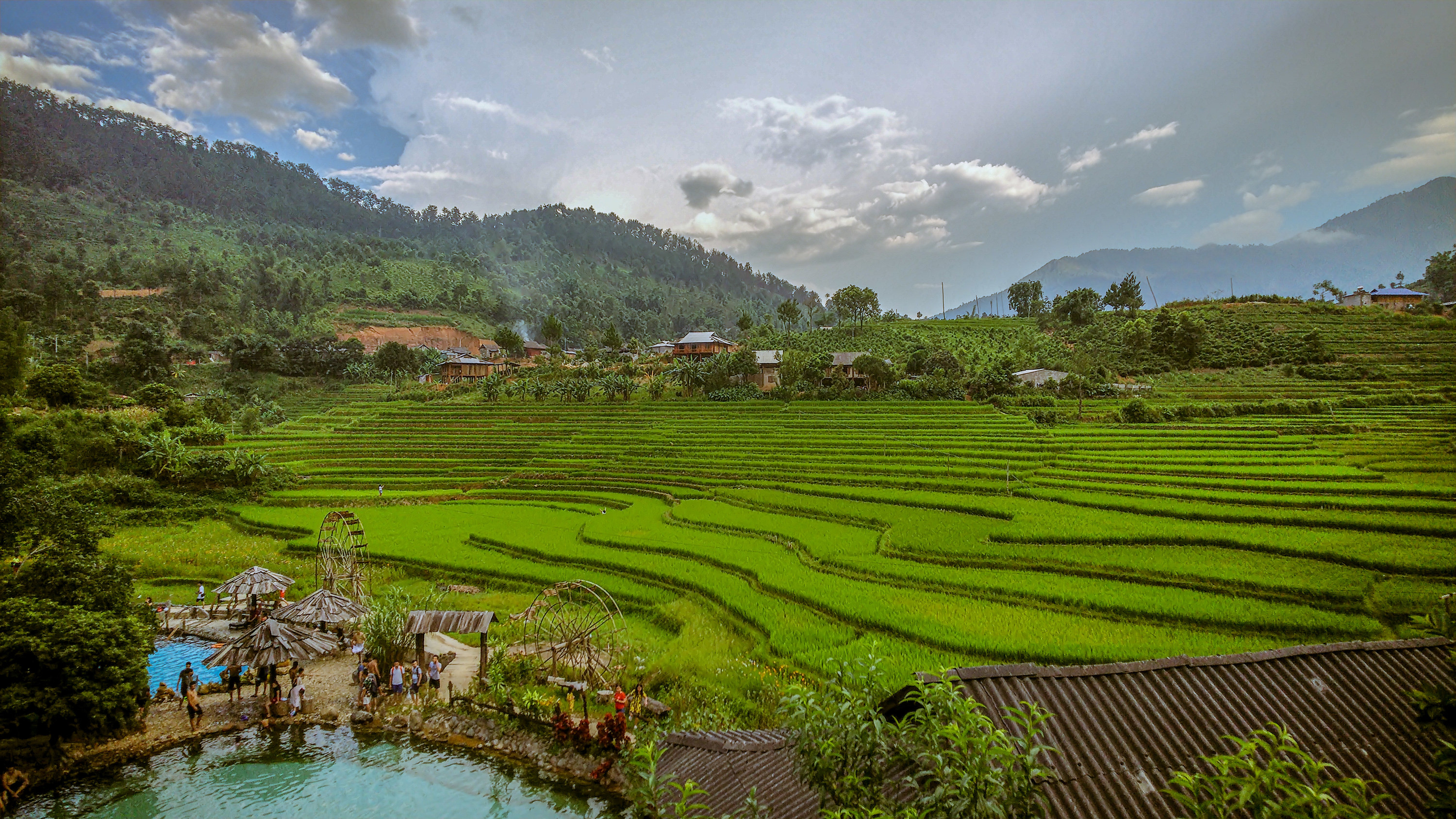 A beautiful view over lush green rice paddies