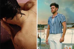 two images: harry styles' self-titled solo album next to niall horan's "heartbreak weather"