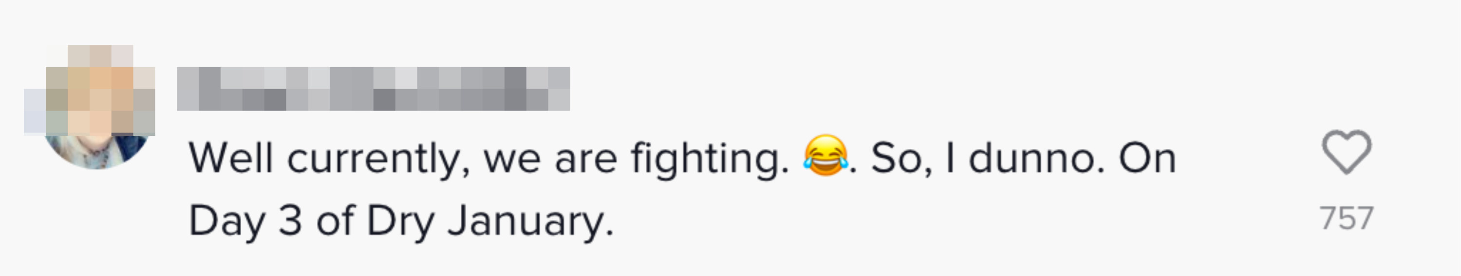 One person commented &quot;Well currently, we are fighting. So, I dunno. On Day 3 of Dry January&quot;