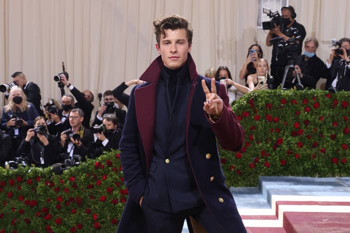 Shawn Mendes at the Met Gala