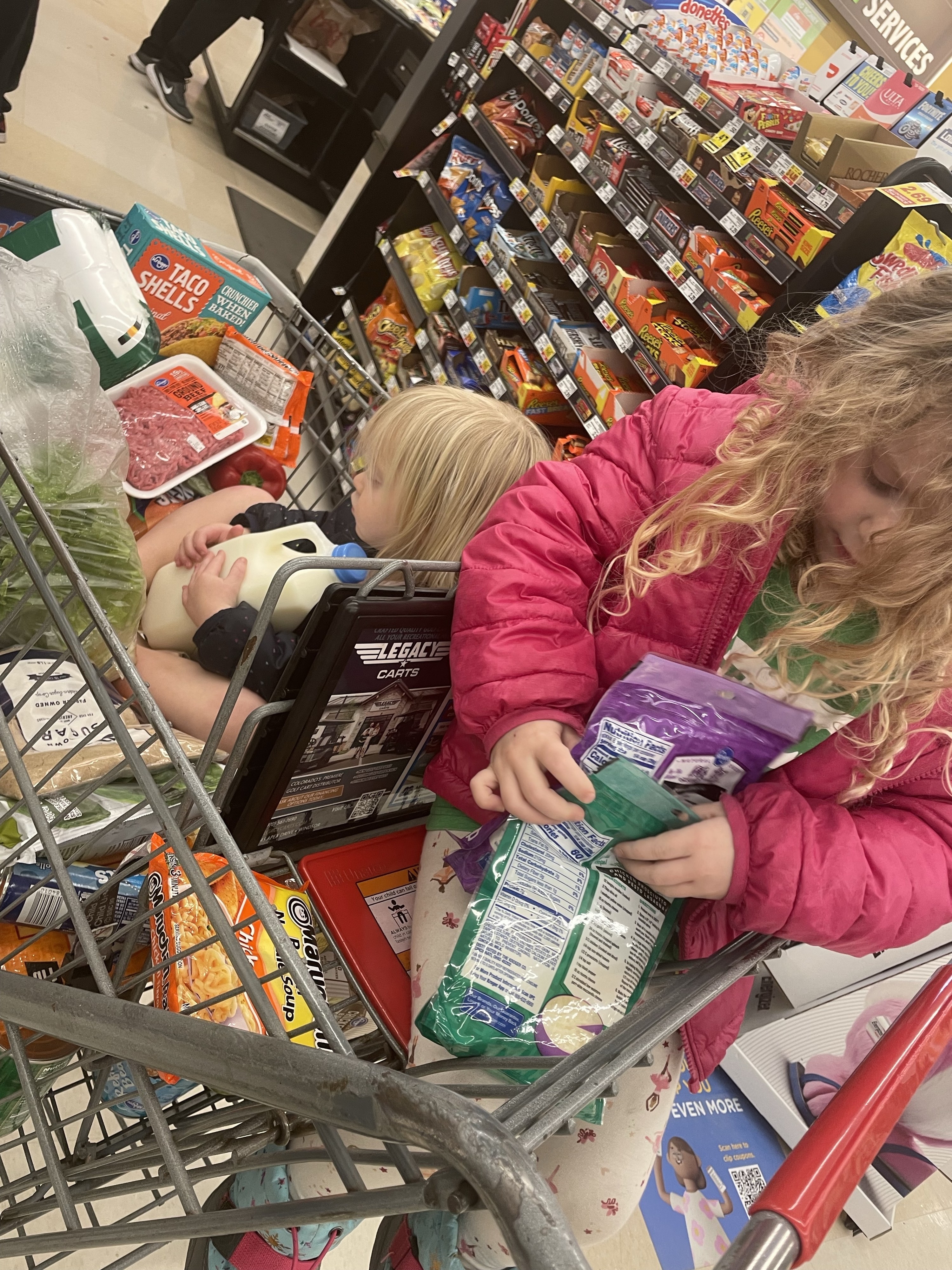 the author&#x27;s children in the grocery cart