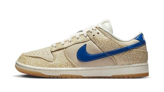 Nike’s new shoes, the “Montreal Bagel” Nike Dunk Low, is coming on Jan. 17. Here's all the info you need on where to get the new dunks if you live in Canada.