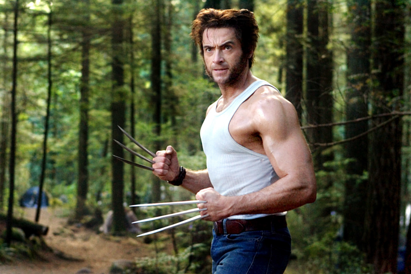 Wolverine poses in the forest flexing his large arm muscles