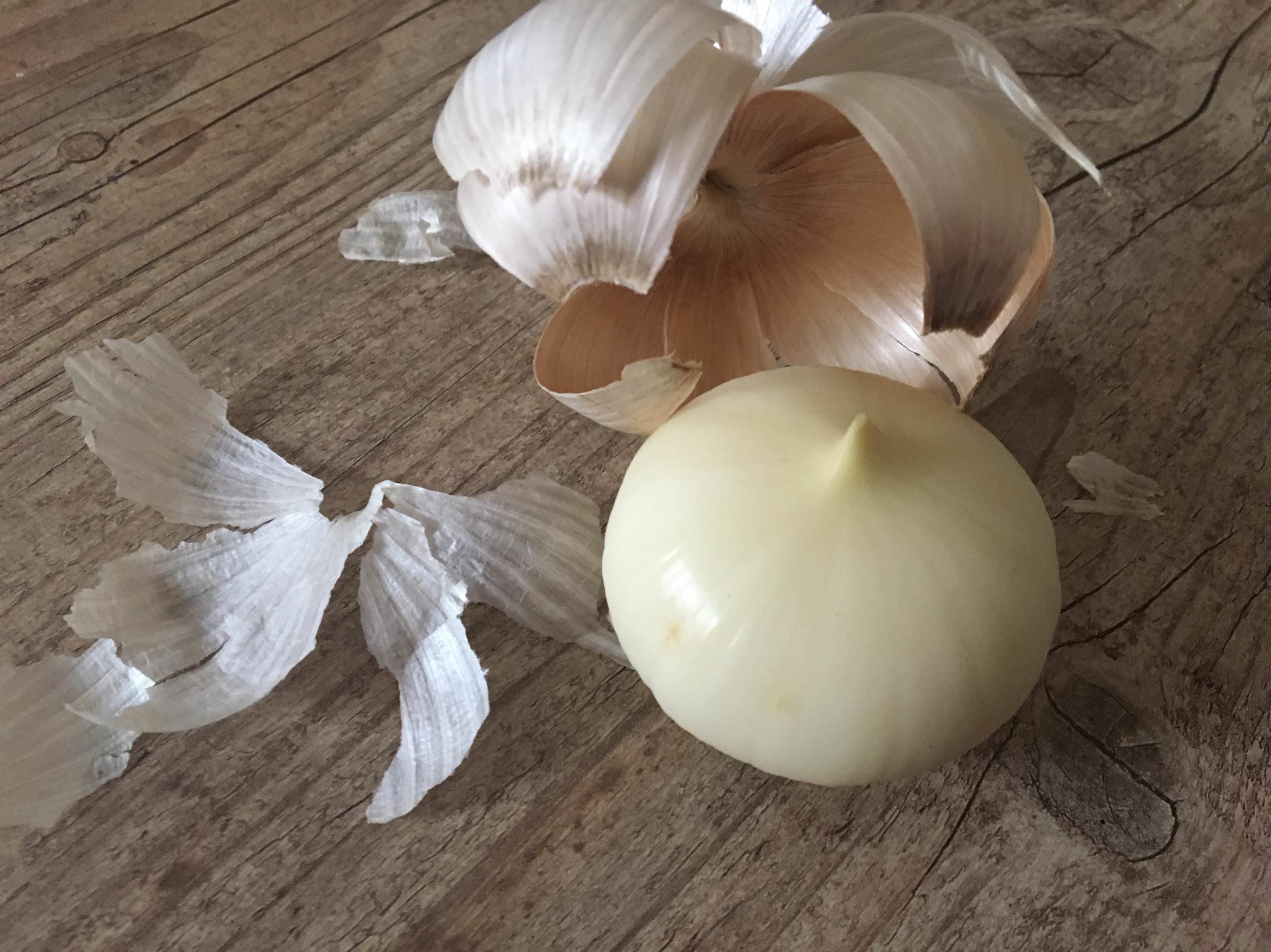 A garlic bulb that&#x27;s one big clove