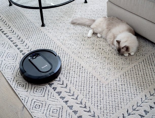 the robot vacuum on a carpet