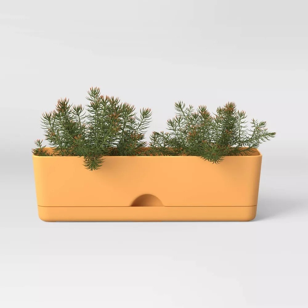 The narrow planter filled with plants with a reservoir on the bottom