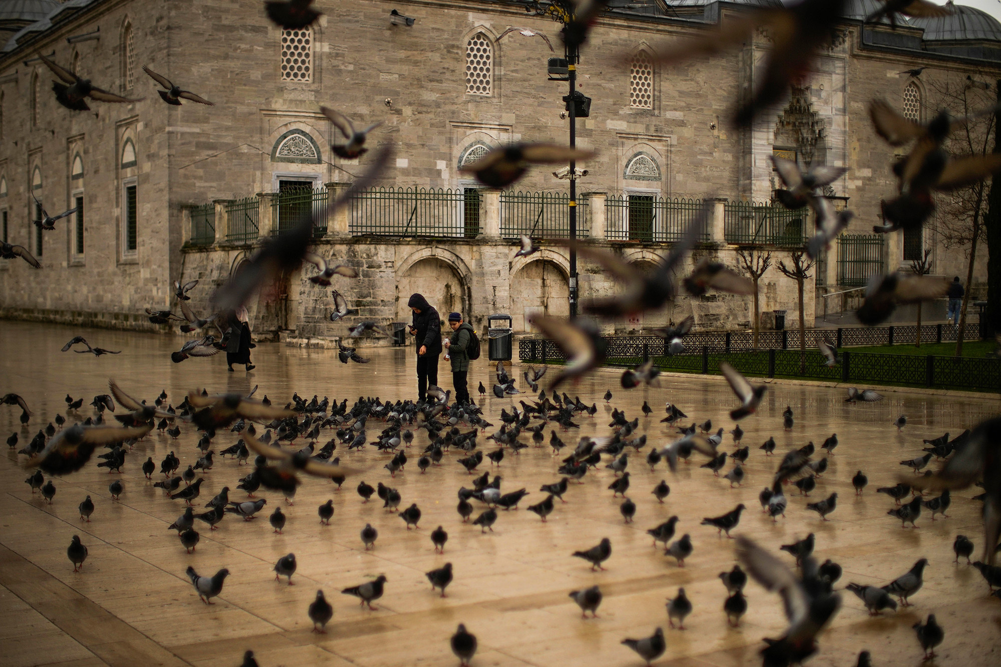 Outside a tan mosque, two people stand surrounded by a flock of black pigeons